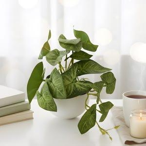 Planta artificial realista de Syngonium Arrowhead - Folhagem artificial em vaso para mesa de escritório, decoração moderna e praticidade para prateleiras.