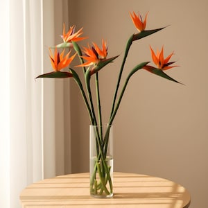 Op de afbeelding: Een cilindrische vaas van helder glas met vijf paradijsvogelbloemen. Elke bloem heeft levendige oranje bloemblaadjes met donkerpaarse accenten en lange groene stelen. De stelen staan in helder water in de transparante glazen vaas.