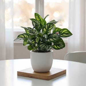 Small Artificial Bonsai in Pot - Faux Foliage for Desk & Office Decor - Minimalist Greenery - Fake Potted Plant for Aesthetic Room Decor