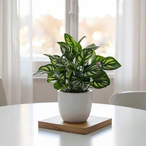 Small Artificial Bonsai in Pot - Faux Foliage for Desk & Office Decor - Minimalist Greenery - Fake Potted Plant for Aesthetic Room Decor