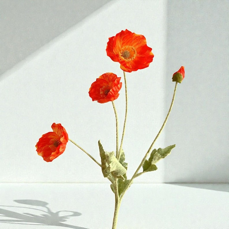 K&ouml;nnte beinhalten: Ein dekorativer Blumenstiel mit drei leuchtend orangefarbenen Mohnblumen in verschiedenen Bl&uuml;testadien, einschlie&szlig;lich einer geschlossenen Knospe. Die Pflanze hat d&uuml;nne, hellgr&uuml;ne St&auml;ngel und strukturierte, flaumige gr&uuml;ne Bl&auml;tter.