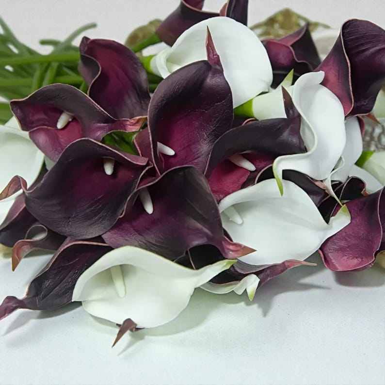 May include: A bouquet of calla lilies, featuring a mix of deep purple and white blooms. The flowers have a smooth texture and are arranged with green stems and leaves, creating a natural and elegant floral arrangement. The calla lilies are in full bloom.