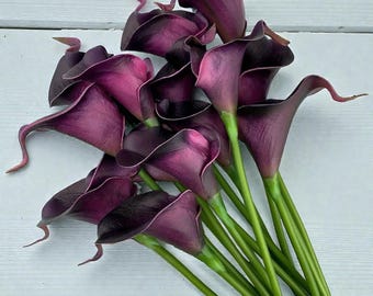 Könnte beinhalten: Ein Strauß tiefvioletter Calla-Lilien mit grünen Stielen. Die Blüten haben eine samtige Textur und eine trompetenartige Form, mit einem dunkleren Violett an den Rändern. Die Stiele sind lang und schlank und bilden ein elegantes Blumenarrangement.
