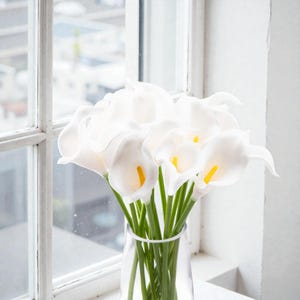 May include: A bouquet of white calla lilies with yellow centers in a clear glass vase. The flowers are arranged in front of a window with a white frame. The stems are green.