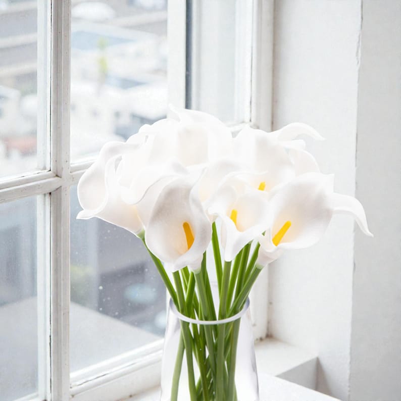 May include: A bouquet of white calla lilies with yellow centers in a clear glass vase. The flowers are arranged in front of a window with a white frame. The stems are green.