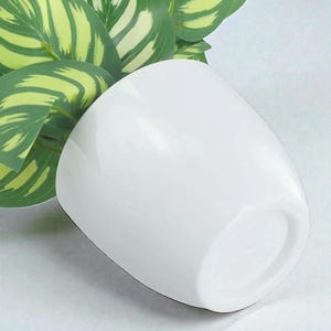 May include: A white ceramic plant pot with a smooth, glossy finish. The pot has a rounded, slightly tapered shape. Green and yellow-striped leaves of a plant are visible in the background.