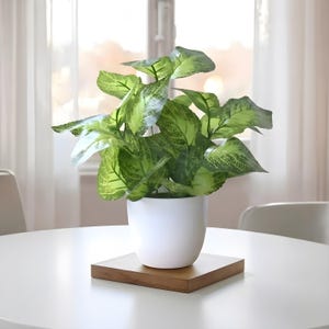 Pode incluir: Uma planta artificial em vaso com folhas verdes vibrantes e variegadas com nervuras verde-claras. A planta está num vaso arredondado branco mate e liso, que repousa sobre uma base quadrada de madeira com acabamento castanho claro.