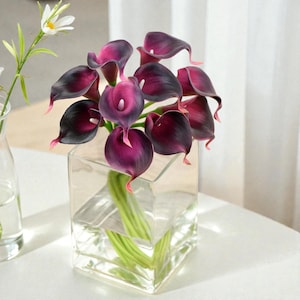 May include: A bouquet of dark purple calla lilies in a clear, square glass vase. The flowers have a deep purple hue with black edges and pink tips. Green stems are visible through the clear glass. A smaller vase with white flowers is in the background.