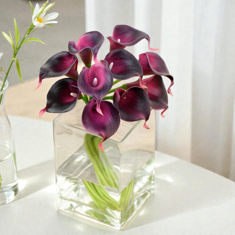 May include: A bouquet of dark purple calla lilies in a clear, square glass vase. The flowers have a deep purple hue with black edges and pink tips. Green stems are visible through the clear glass. A smaller vase with white flowers is in the background.