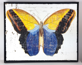 Blue and Yellow Butterfly Textured Artwork | Luxury Wall Decor on Jute & Gesso