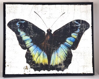 Colorful Butterfly Textured Artwork | Luxury Wall Decor on Jute & Gesso