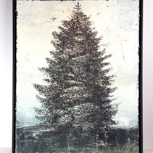 May include: A framed art print featuring a detailed depiction of a fir tree. The artwork is rendered in shades of black, gray, and white, with a textured, distressed appearance. The tree is centered against a light background, and the frame is black.