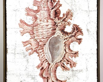 Vintage Pink Seashell Textured Artwork | Luxury Coastal Wall Decor on Jute & Gesso Lace Murax