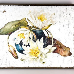 May include: A framed art print featuring a watercolor painting of white water lilies with yellow centers, green leaves, and a dark blue vase. The artwork has a distressed, vintage aesthetic with a white background and a brown wooden frame.