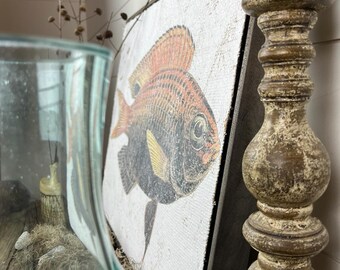 Orange and Black Fish Textured Artwork | Luxury Lake Cottage Wall Decor on Jute & Gesso