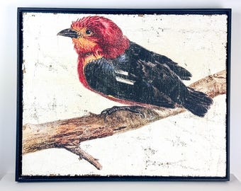 Textured Red and Black Bird Wall Decor | Luxury Vintage Birds Artwork