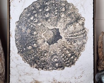 Textured Sea Urchin Vintage Artwork | Luxury Coastal Wall Decor on Jute & Gesso