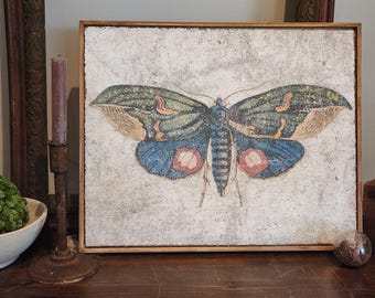Vintage Owlet Moth Textured Artwork | Luxury Wall Decor on Jute & Gesso