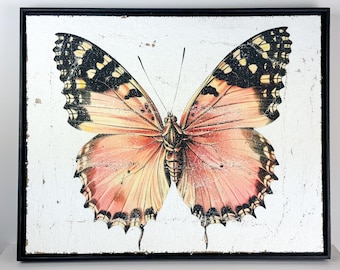 Vintage Textured Butterfly Artwork | Luxury Wall Decor on Jute & Gesso