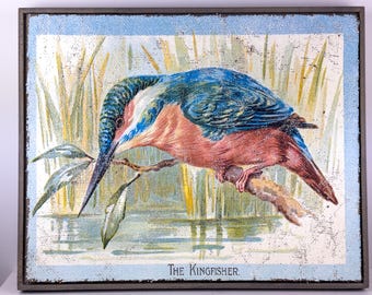 Hand-Crafted Textured Kingfisher Wall Decor | Luxury Vintage Colorful Bird Artwork