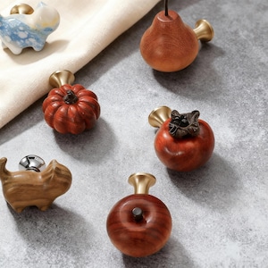 Op de afbeelding: Een verzameling decoratieve kastknoppen in verschillende vormen, waaronder een pompoen, peer, appel en kaki. De knoppen zijn gemaakt van hout en hebben messing hardware. Er is ook een katvormige knop aanwezig. De items zijn gerangschikt op een grijze ondergrond.