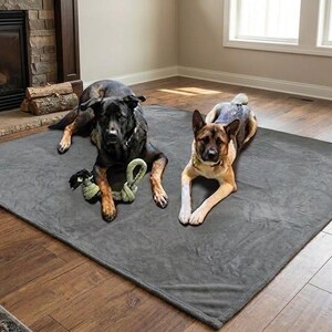 May include: Two dogs, a black and a tan German Shepherd, rest on a large gray pet bed. The black dog has a green and tan rope toy. The bed is on a hardwood floor near a fireplace.