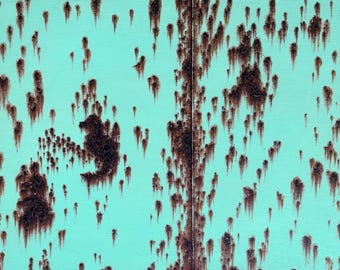 Rust (seahorse)