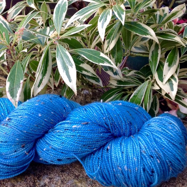 100grms mano dipinto di blu di fronte alzavole"Leicester /Donegal nep"