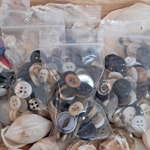 May include: Assorted buttons in clear plastic bags. The buttons are in various colors, including white, black, brown, and gray. Some buttons have four holes, while others have two. The bags are surrounded by seashells.