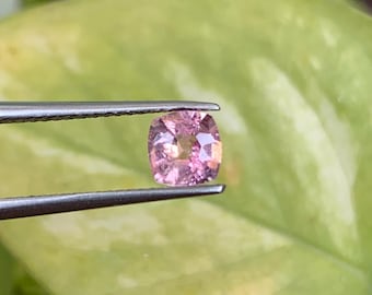 Roze spinel gefacetteerde edelsteen zeer goede kleur kussenvorm 0,52 karaat 5 x 4,8 x 2,7 mm