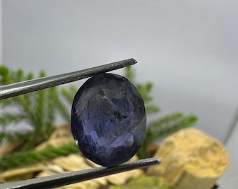 May include: A faceted, oval-shaped, dark blue gemstone is held by a pair of tweezers. The gem has a polished surface and displays internal inclusions. The background features greenery and a light-colored surface.