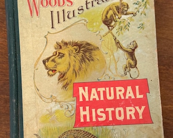Historia natural ilustrada de Wood para niños, por el reverendo J. G. Wood, 1898