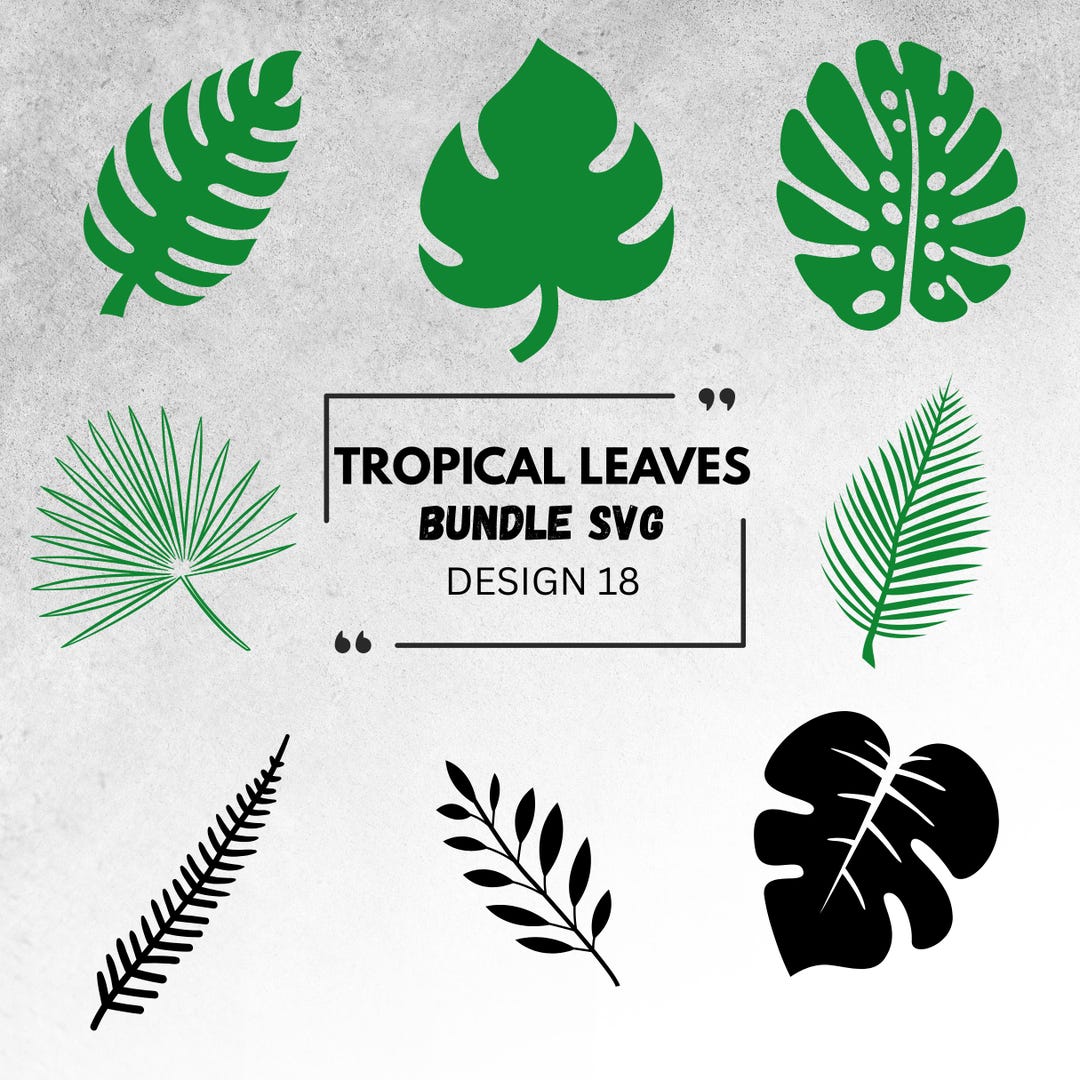 Tropical Leaves SVG Bundle | Monstera & Palm Leaf Clipart | Jungle Leaf ...