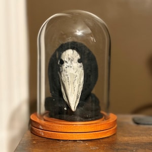May include: A white plague doctor mask with dark eye sockets and a long beak, draped in a black hood, enclosed within a clear glass dome cloche that sits upon a circular, light-colored wooden base with two distinct horizontal grooves.