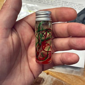May include: A small, clear glass vial with a silver screw-top lid, filled with a transparent liquid and containing thin, tangled strands of red, green, and white material suspended inside the fluid, creating a colorful, abstract display.