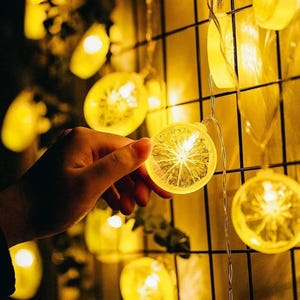 May include: A string of decorative LED lights featuring translucent yellow circular discs that resemble sliced lemons. Each disc contains a small light source that emits a warm glow, and the lights are arranged on a thin wire grid.