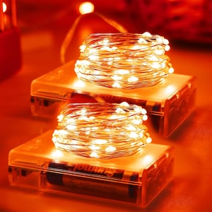 2 Pack Fall Fairy Lights, 16.5Ft 50 LED Battery Operated Copper Wire String Lights with Timer for Thanksgiving, Halloween & Home Decor