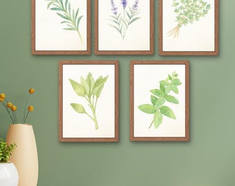 Herb Wall Art Printable | Botanical Herb Kitchen Decor, Farmhouse Wall Art, 8.5x11 Digital Print