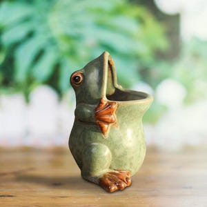 May include: A ceramic frog-shaped planter in shades of green and brown. The frog has large, expressive eyes and open mouth, with its front and back feet in a reddish-brown color. The planter is designed to hold small plants or flowers.