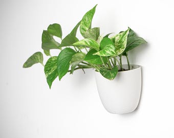 Designer Wall Planter | Plant-Based Wall Flower Pot | Wall-Mounted Planter | Wall Planter