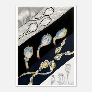 ポピーの植物画 | ミックスメディアの花柄ウォールアート 画像 1