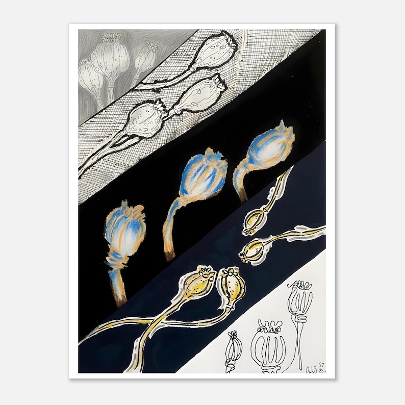 ポピーの植物画 | ミックスメディアの花柄ウォールアート 画像 1