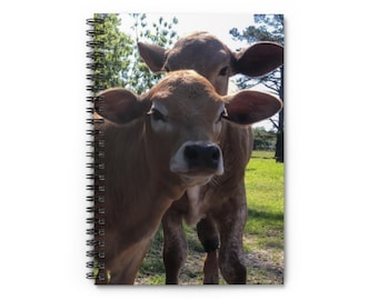 Cows Spiral Notebook | Ruled Line