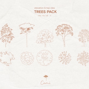 May include: A digital illustration featuring a collection of trees in elevation and top view. The trees are rendered in a line art style with a warm brown color, set against a textured, off-white background. The text "TREES PACK" is at the top.