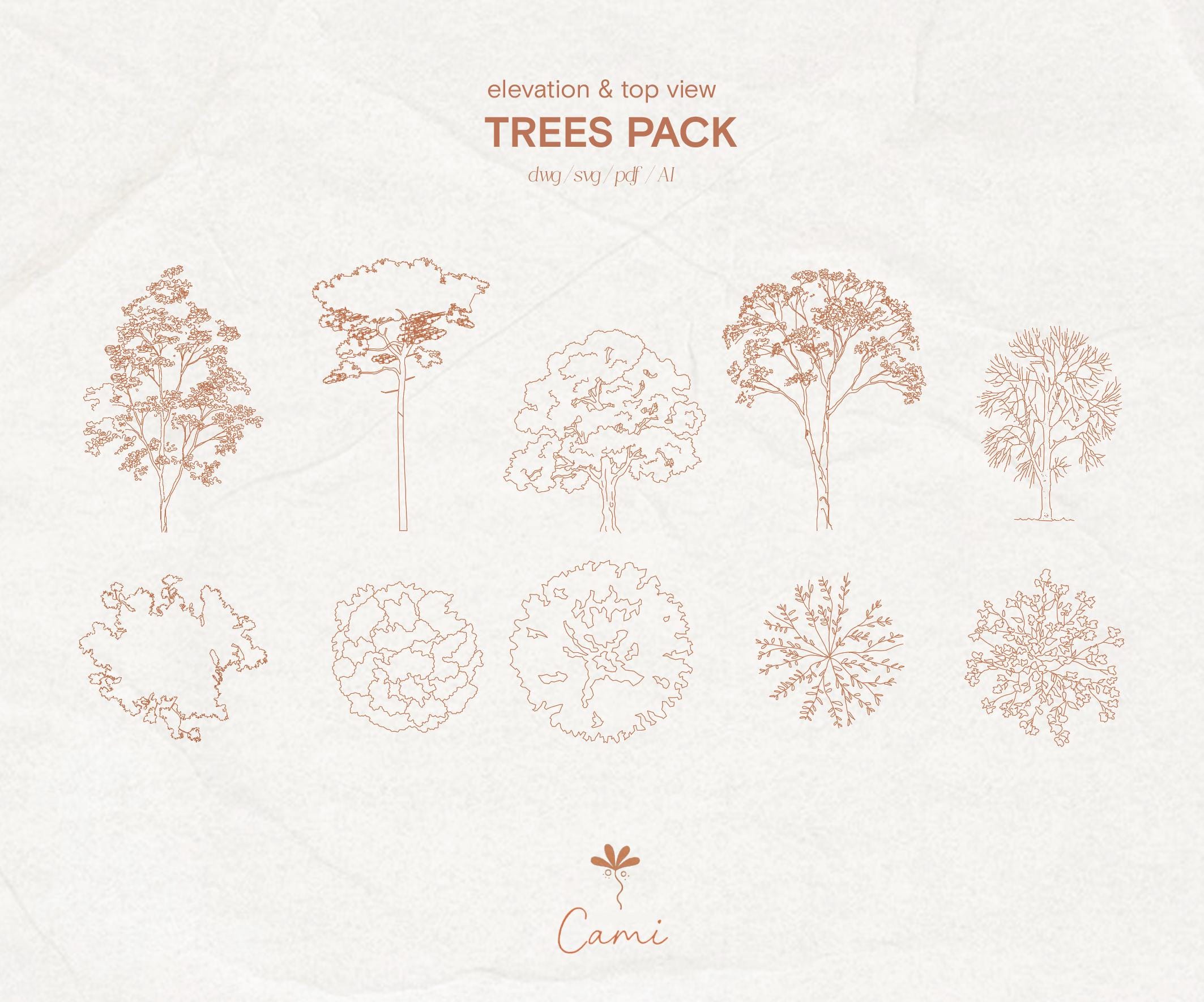 Architectural Tree Vector Set – Flat Style Cutouts (digital Download ...