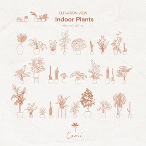 May include: An elevation view illustration of various indoor plants, drawn with brown lines on a beige background. The text "Indoor Plants" is displayed above the illustrations. The artist's name, "Cami", is at the bottom of the image.