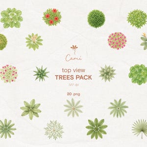 Top View Tree Set Cutouts –  PNG – Digital Download, For Architecture and Design