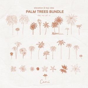 May include: An illustration of a palm trees bundle in elevation and top view. The image features various palm tree designs in a brown color, with the text "PALM TREES BUNDLE" at the top. The artist's name, "Cami", is at the bottom.