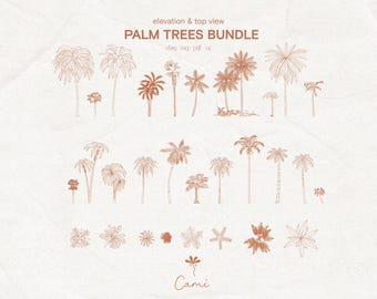 Op de afbeelding: Een illustratie van een palmboom bundel in aanzicht en bovenaanzicht. De afbeelding toont verschillende palmboomontwerpen in een bruine kleur, met de tekst "PALM TREES BUNDLE" bovenaan. De naam van de kunstenaar, "Cami", staat onderaan.