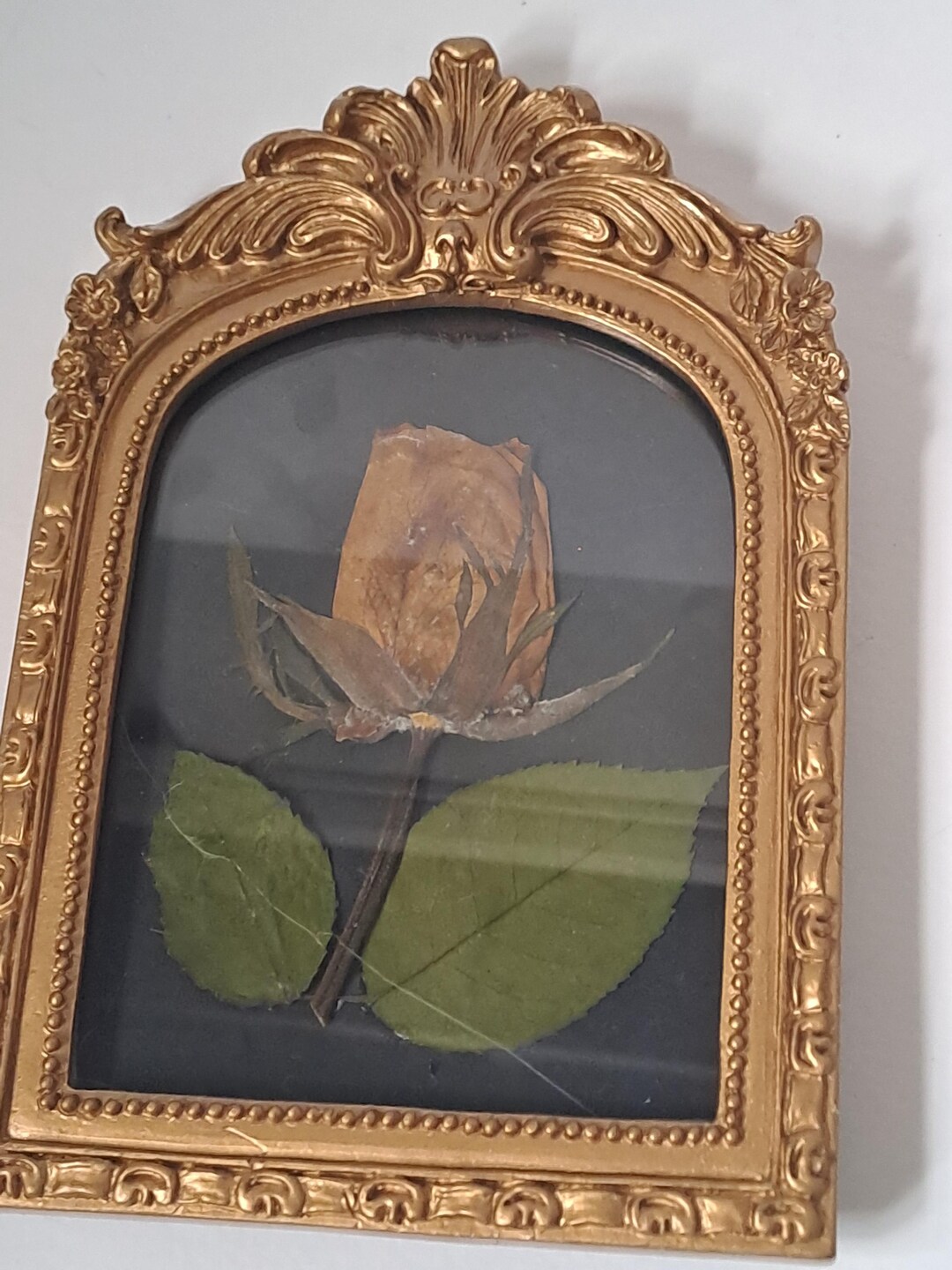 Ornate Victoriana Frame, Dark Academia / Gothic, Pressed Red Rose - Etsy